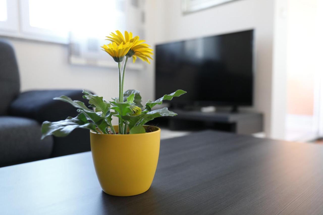 Apartment Dora Preko Kültér fotó